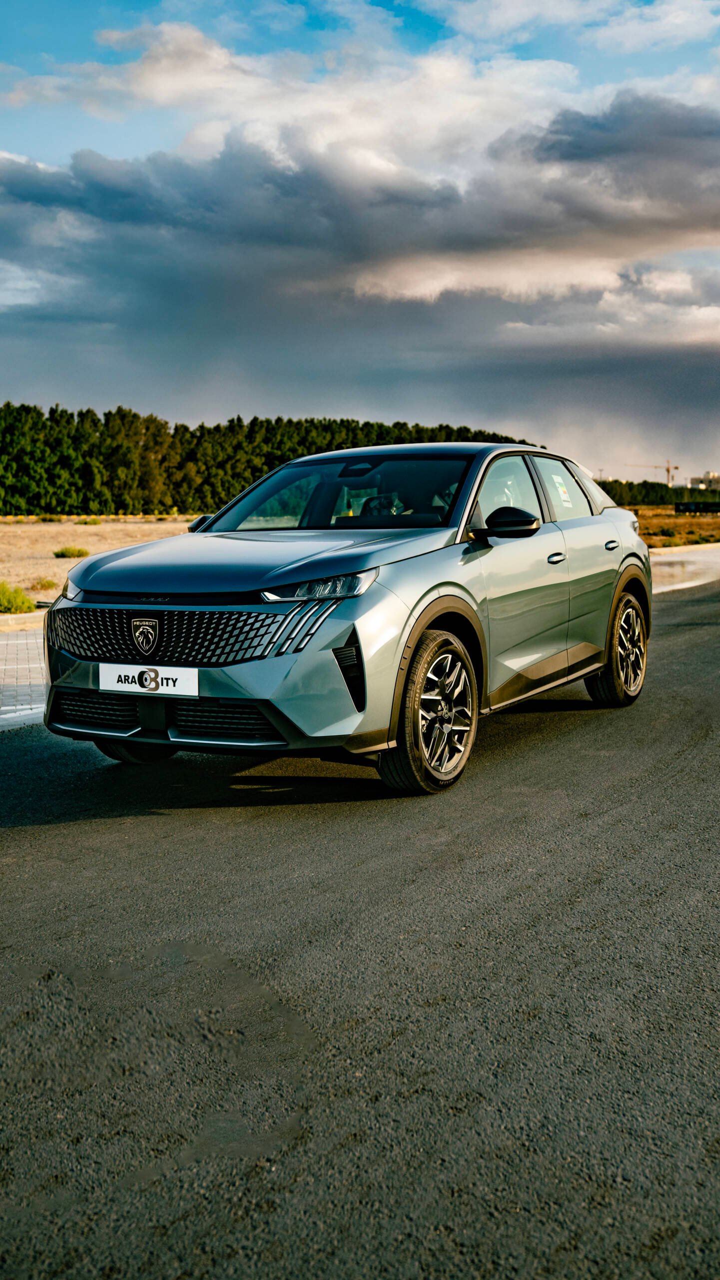 Peugeot 3008 - Image 8