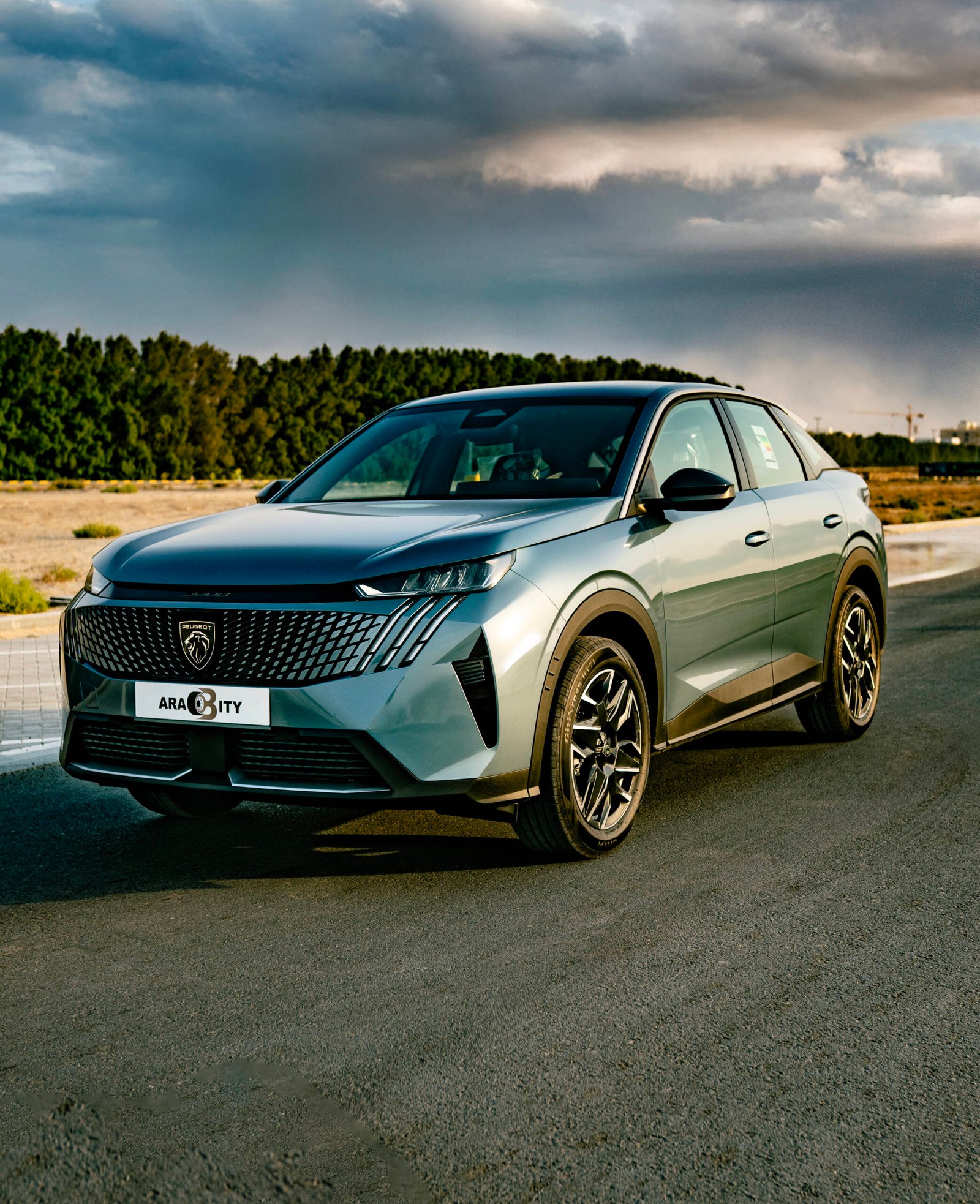 Peugeot 3008 - Image 24