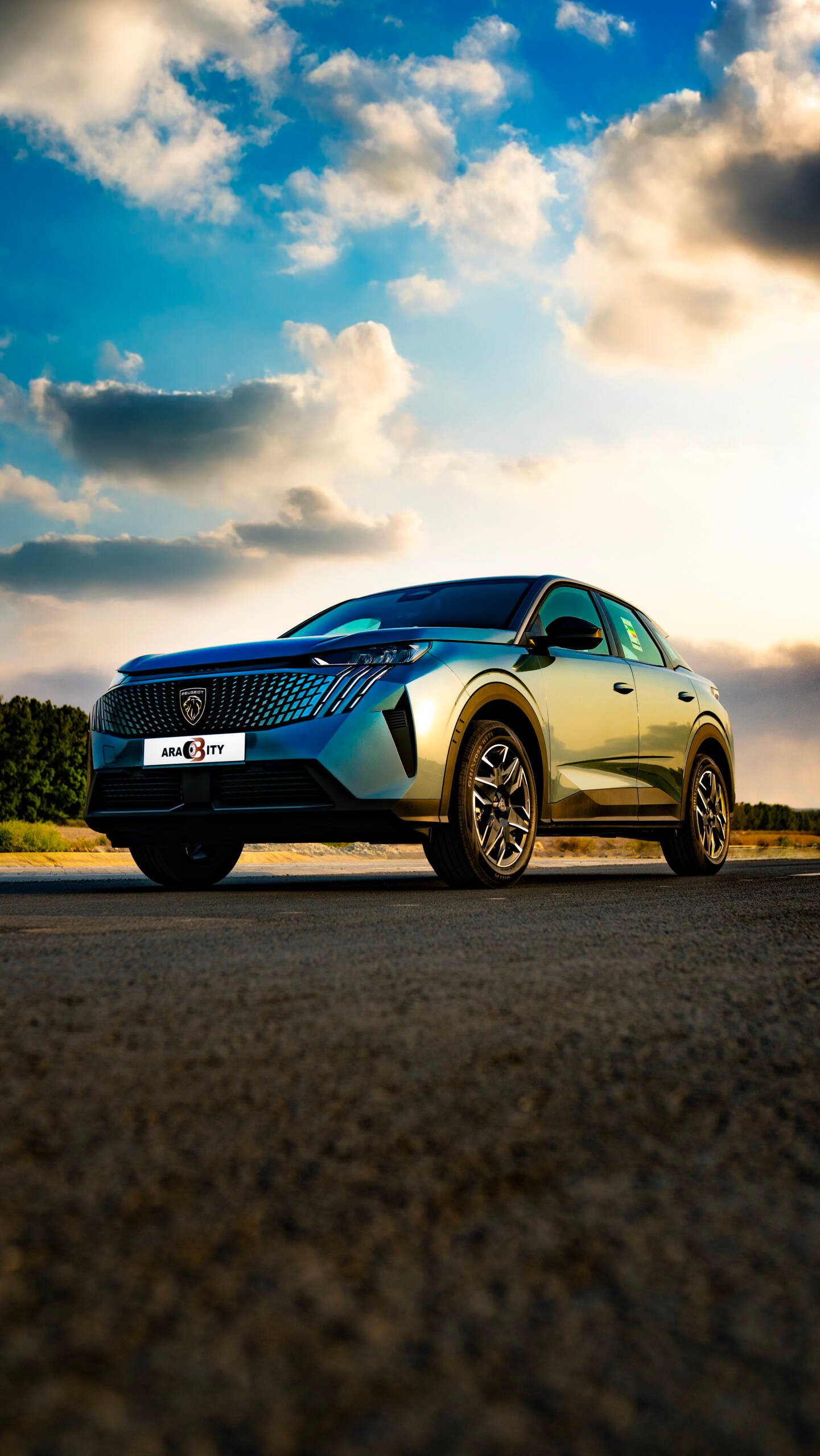 Peugeot 3008 - Image 13