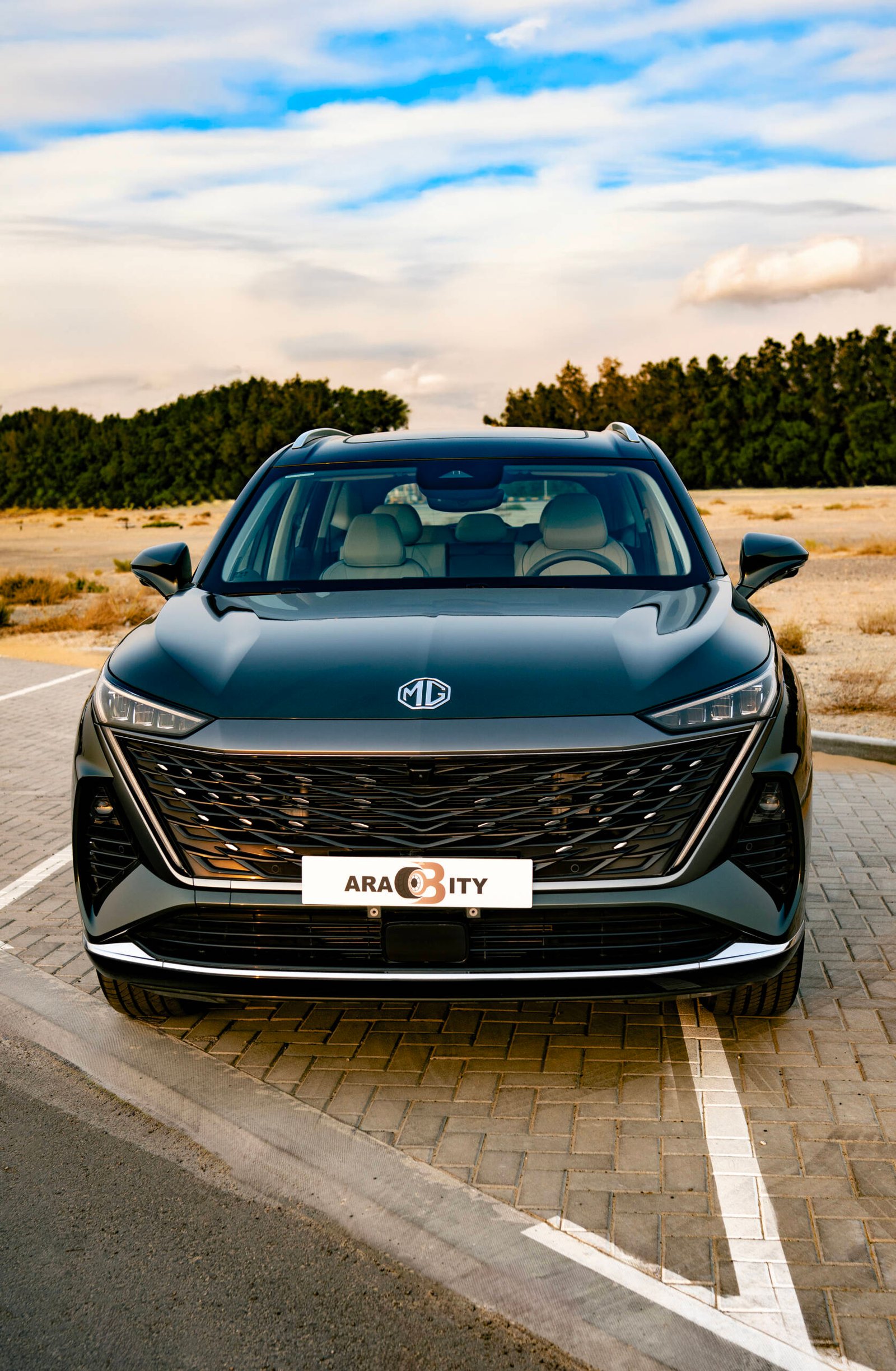 MG RX9 (Lux 4WD 9AT) - Image 2
