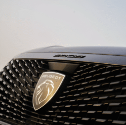 
										PEUGEOT 2008 2025 full									