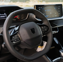 
										PEUGEOT 2008 2025 full									