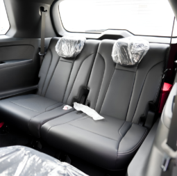 
										GAC GS8 Hybrid – 2025 full									