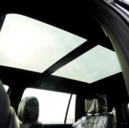 
										GAC GS8 Hybrid – 2025 full									