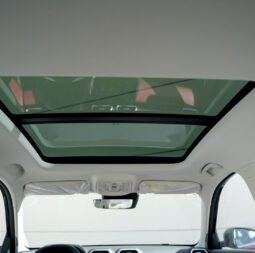 
										MG ZS Luxury 2026 full									