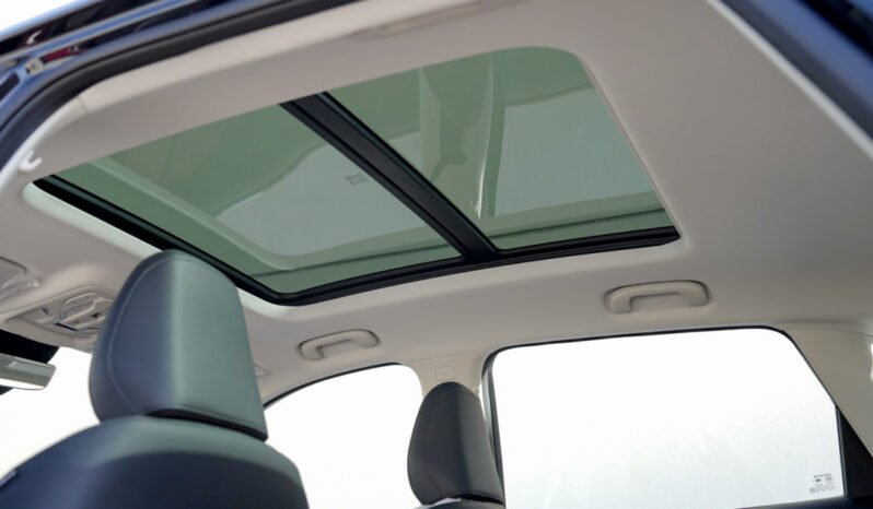 
								MG ZS Luxury 2026 full									