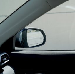 
										MG ZS Luxury 2026 full									