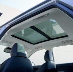 
										MG ZS Luxury 2026 full									