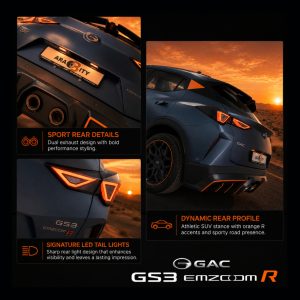 GS3 EMZOOM R_pages-to-jpg-0004